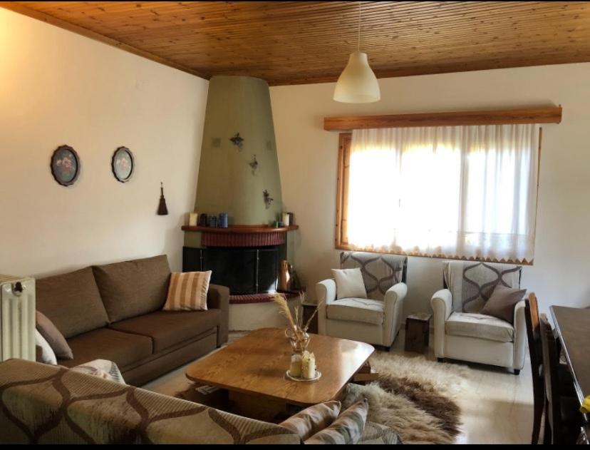 Charoula Fthiotidas Apartment Pavliani